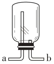 中考化学微专题复习——奇妙的“多功能瓶” 第20张