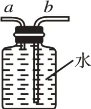 中考化学微专题复习——奇妙的“多功能瓶” 第21张