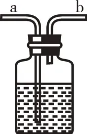 中考化学微专题复习——奇妙的“多功能瓶” 第31张