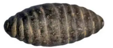 中考复习:中国古代制度文明--中国古代的重大改革与科举制度 第6张 中考复习:中国古代制度文明--中国古代的重大改革与科举制度 第6张