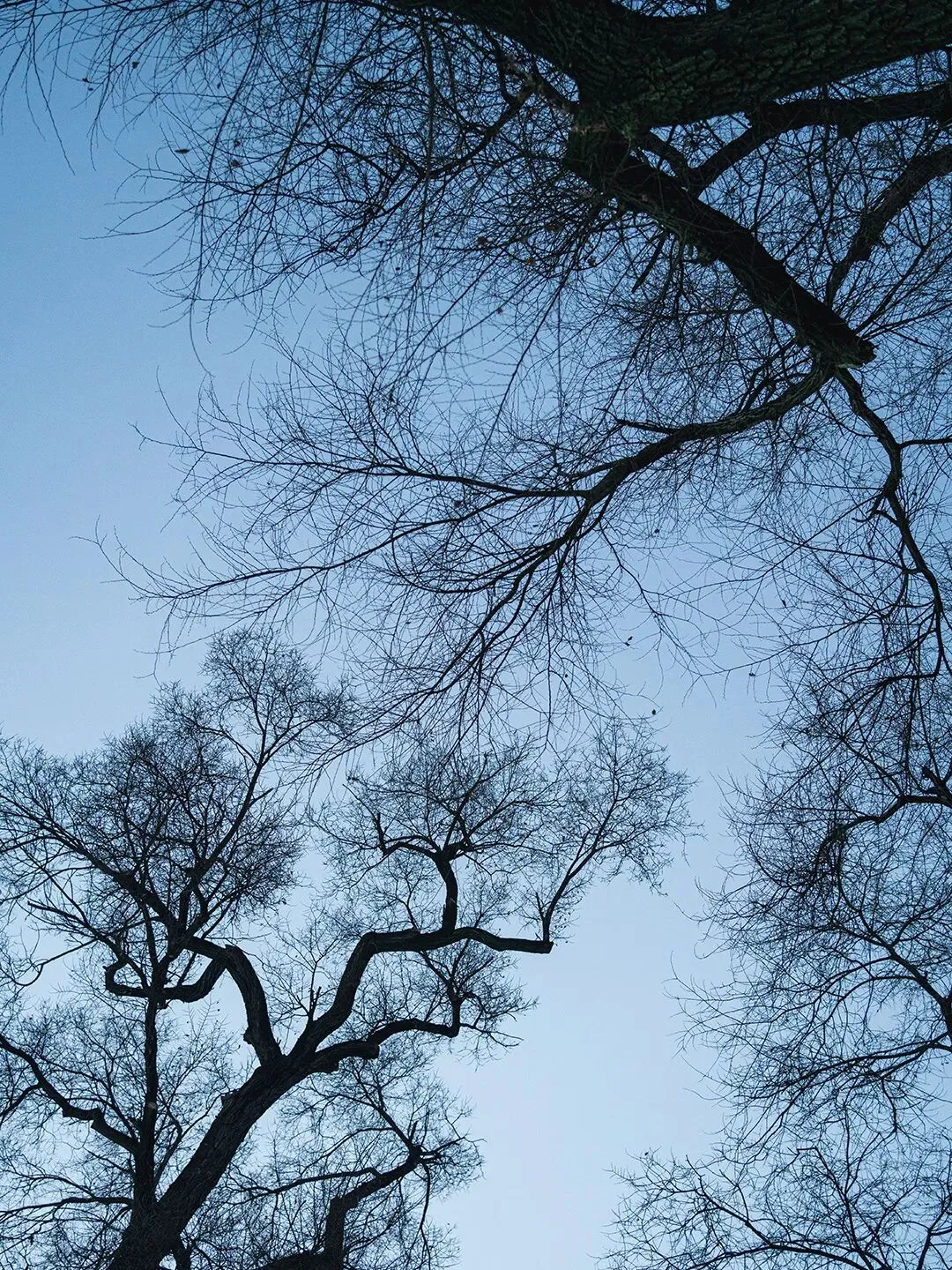 云南师范大学真题解析 |发展中国家媒介理论(2026) 第5张