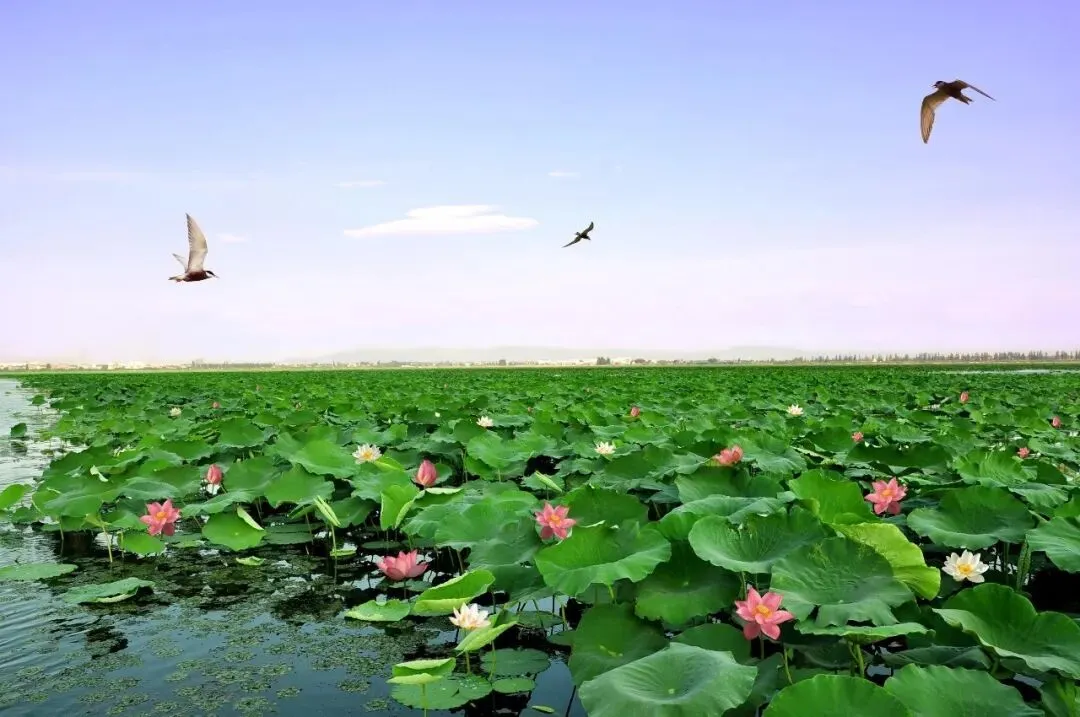 2026中考语文作文押题预测:《把奋斗写进青春里》 第1张