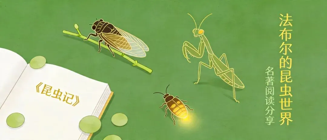 《昆虫记》中考名著阅读复习知识清单 第1张