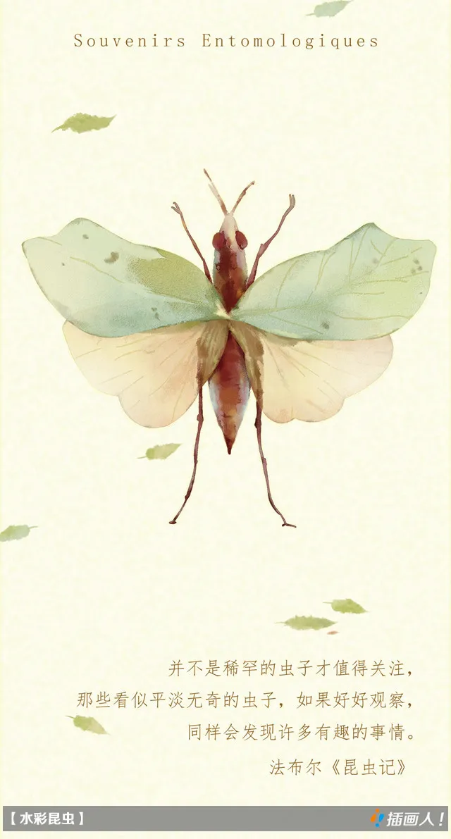 《昆虫记》中考名著阅读复习知识清单 第2张