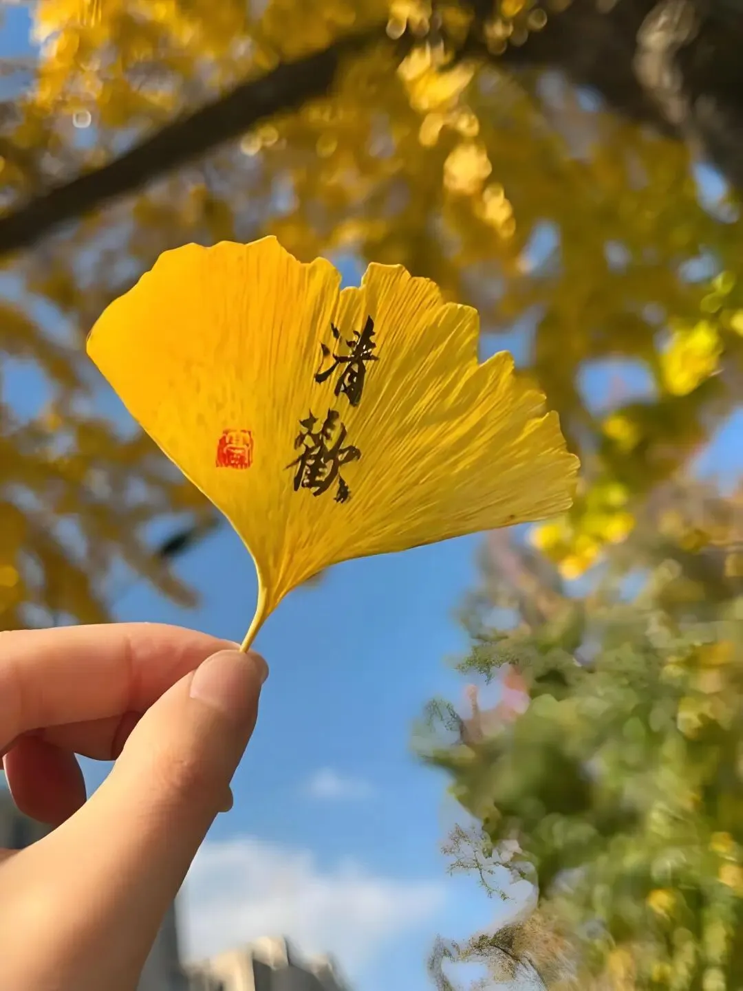 2026年北京市海淀区高三一模英语试卷阅读理解D篇长难句分析 第2张