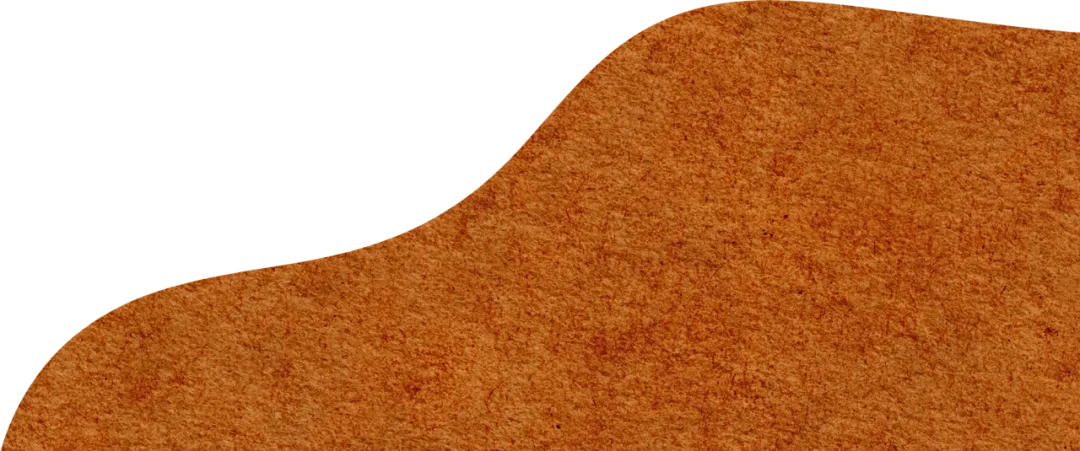 2026届湖北新八校4月检测【化学】试卷及答案 第19张