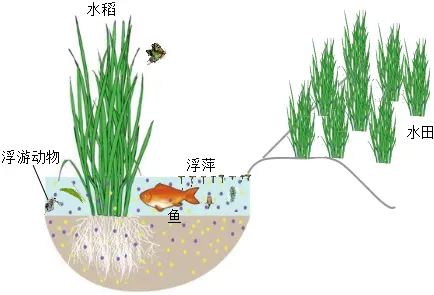 2026初中生物学模拟测试六 第4张