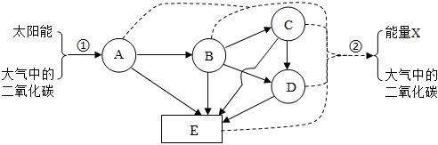 2026初中生物学模拟测试六 第5张