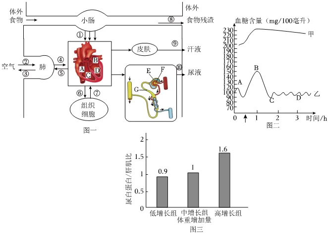 2026初中生物学模拟测试六 第7张