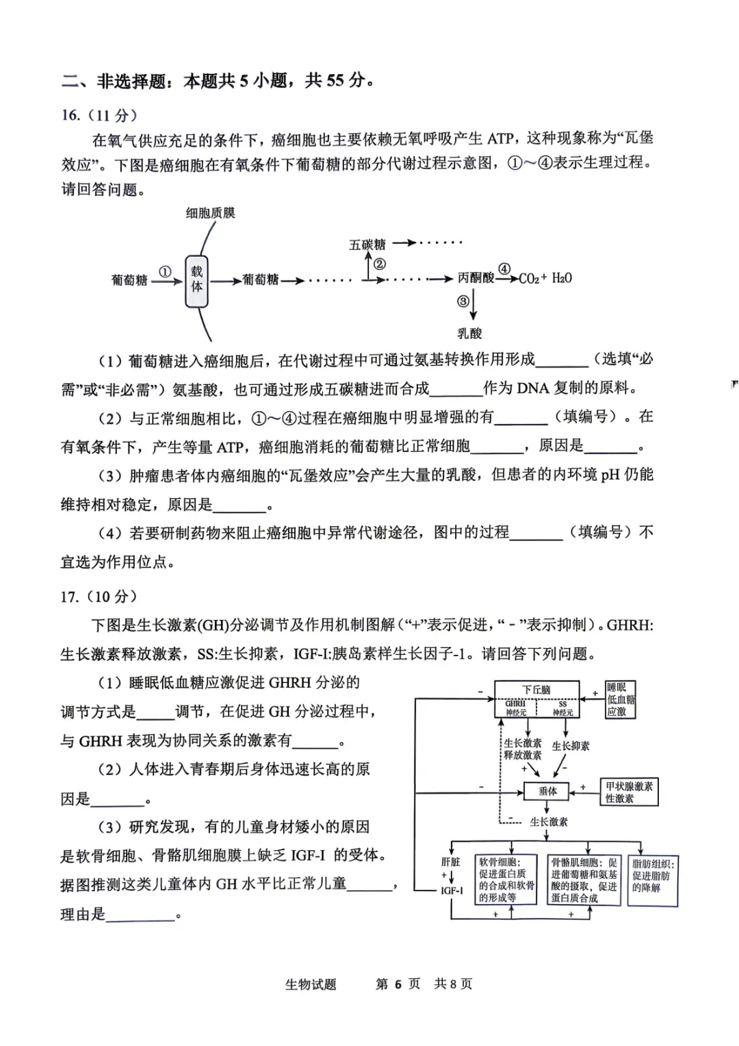 2026届高三【眉山二诊】试卷和答案 第77张