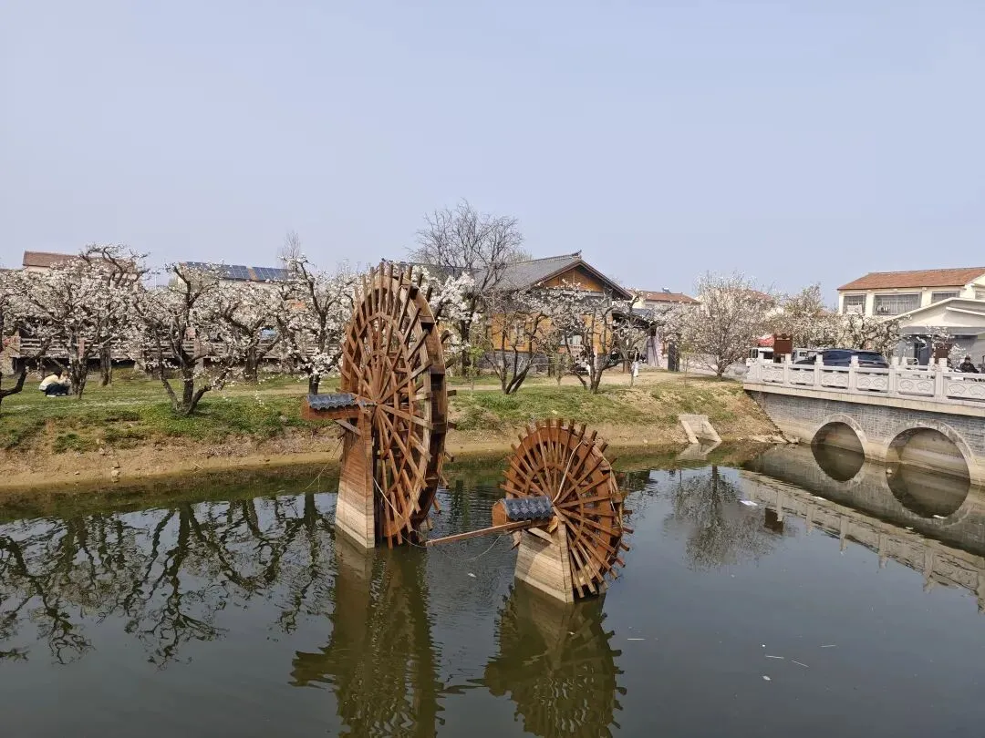 2011年六级听力真题原文改编 第2张