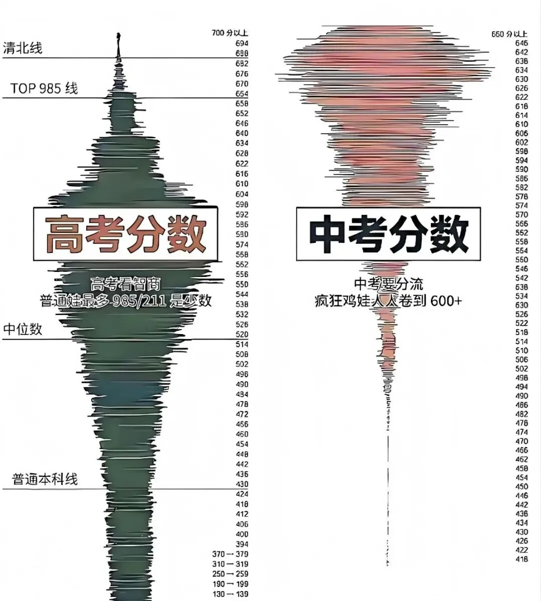 从中考 & 高考分数图里,读懂升学的真相与底气 第1张