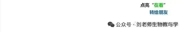 初中生物中考复习备考策略培训pptx课件:基于素养导向的初中生物学复习备考策略 第37张