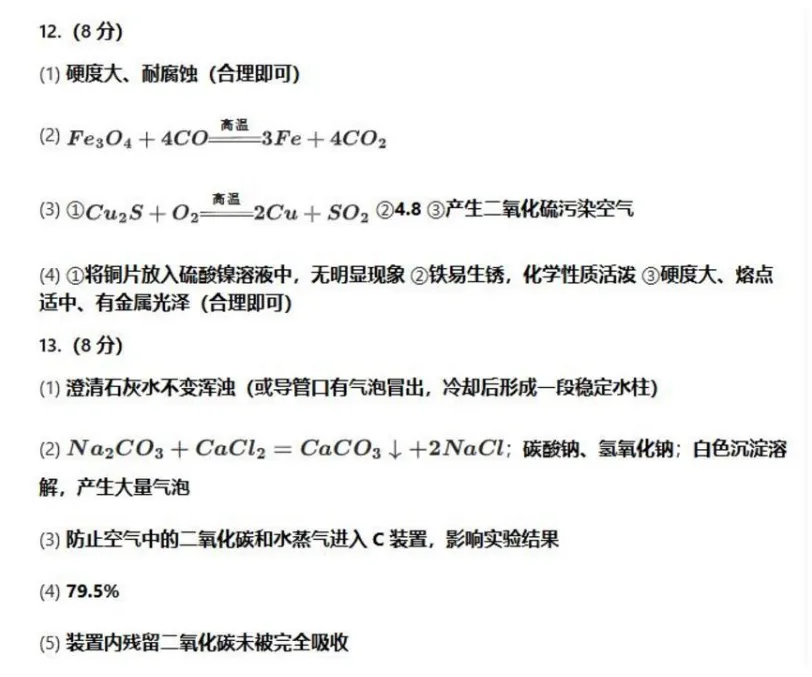 2026年中考模拟考试化学试题11 第7张