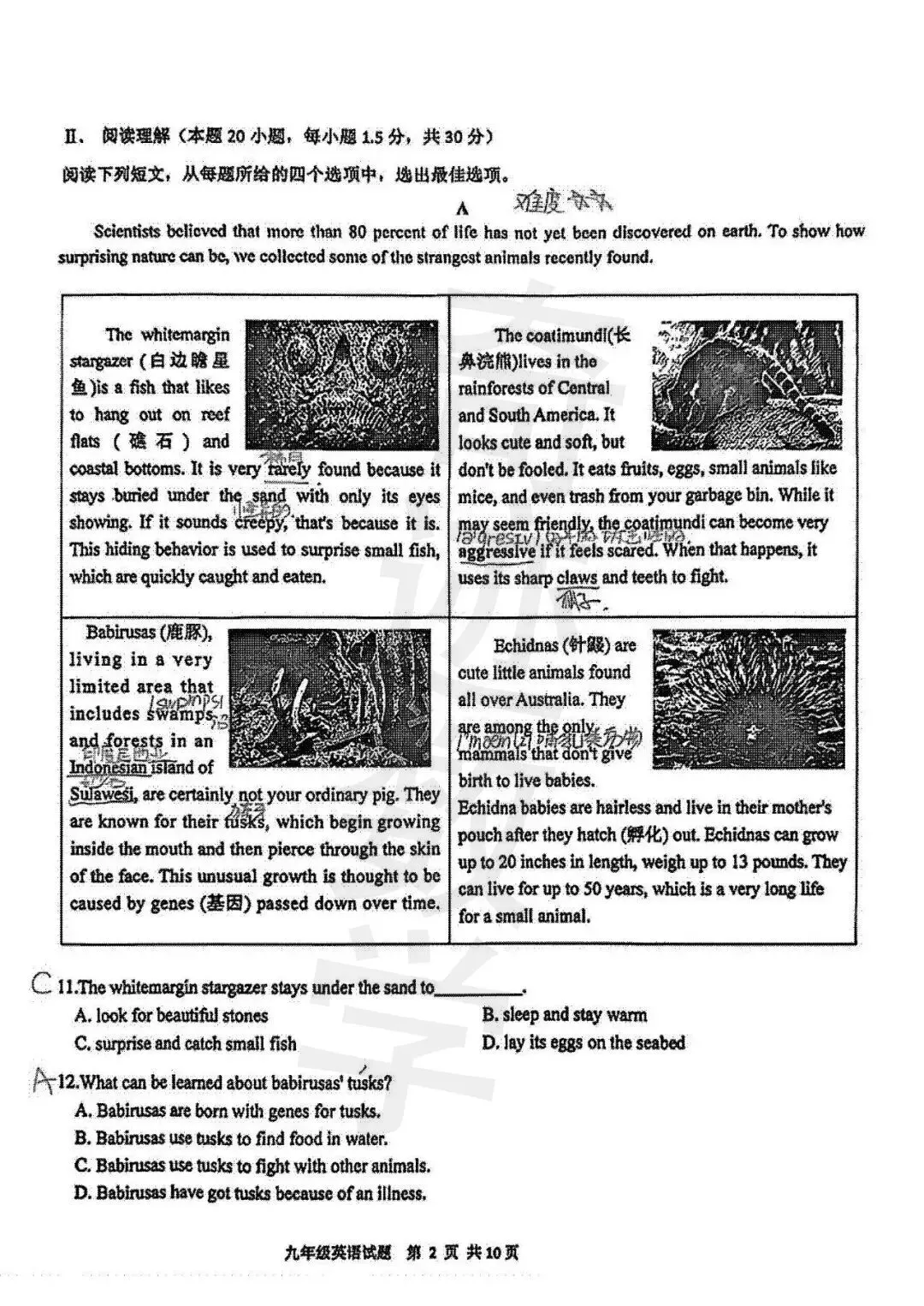 2026.4青岛市南区中考一模全科试卷含答案(可下载) 第26张 2026.4青岛市南区中考一模全科试卷含答案(可下载) 第26张