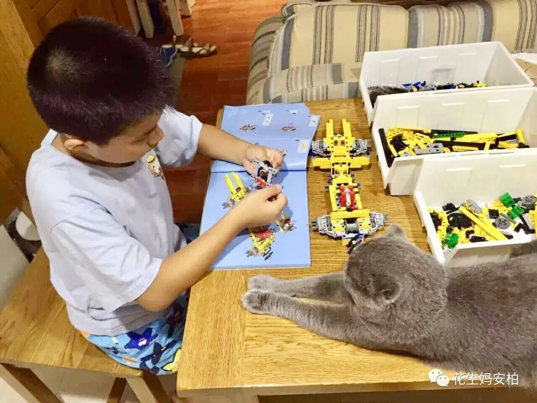 期中考季,聊聊“学霸,学渣和学酥” 第7张