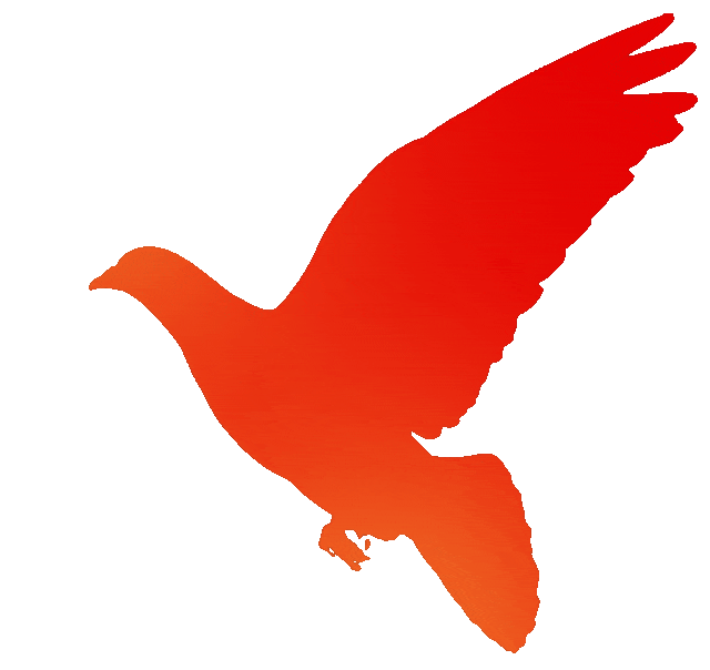 2026年天津中考体育特长生汇总(评分标准,录取原则,招生明细) 第65张