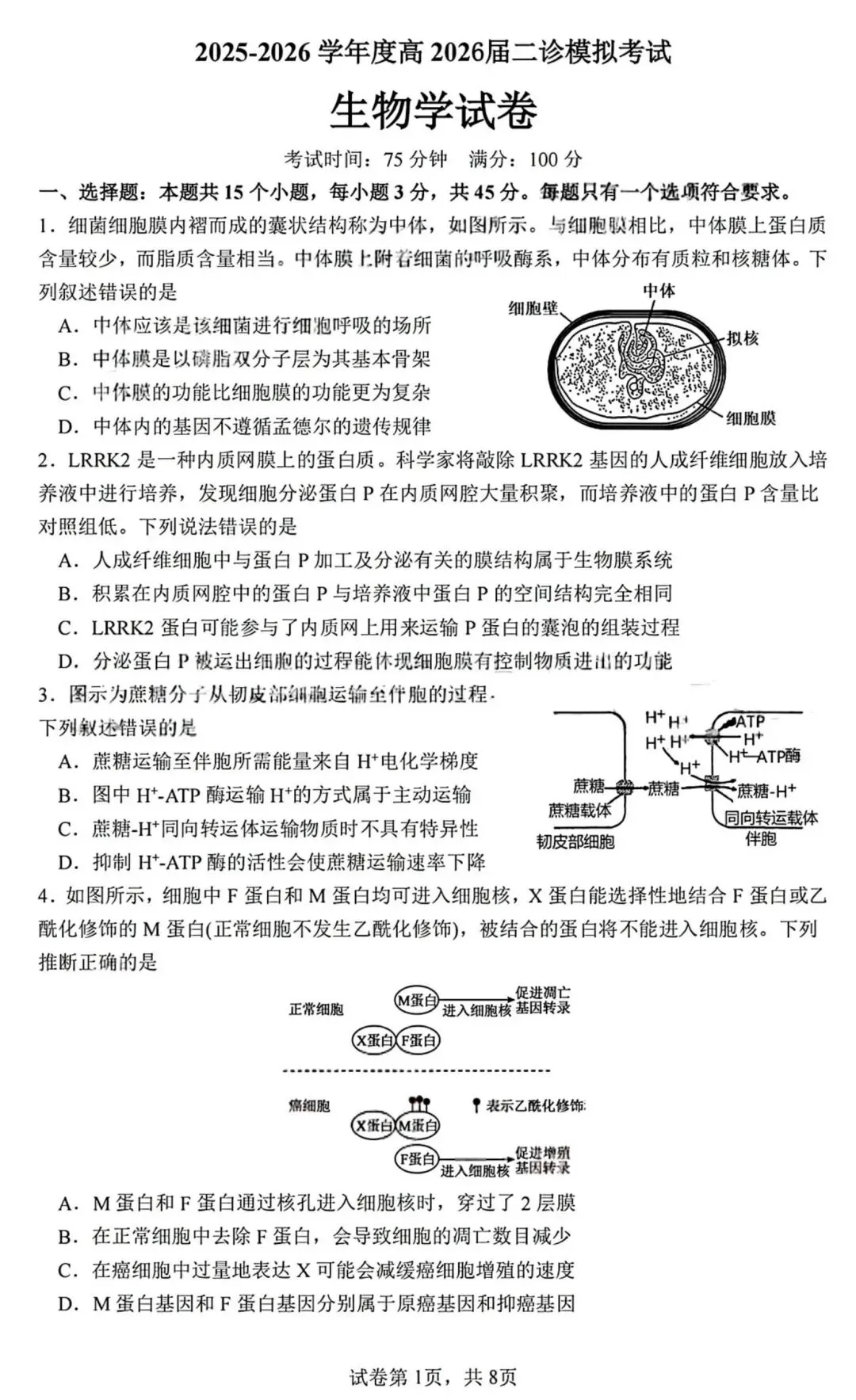 2026届成都七中高三二诊模拟考生物学试题和答案(附word下载) ⊙ 第7张