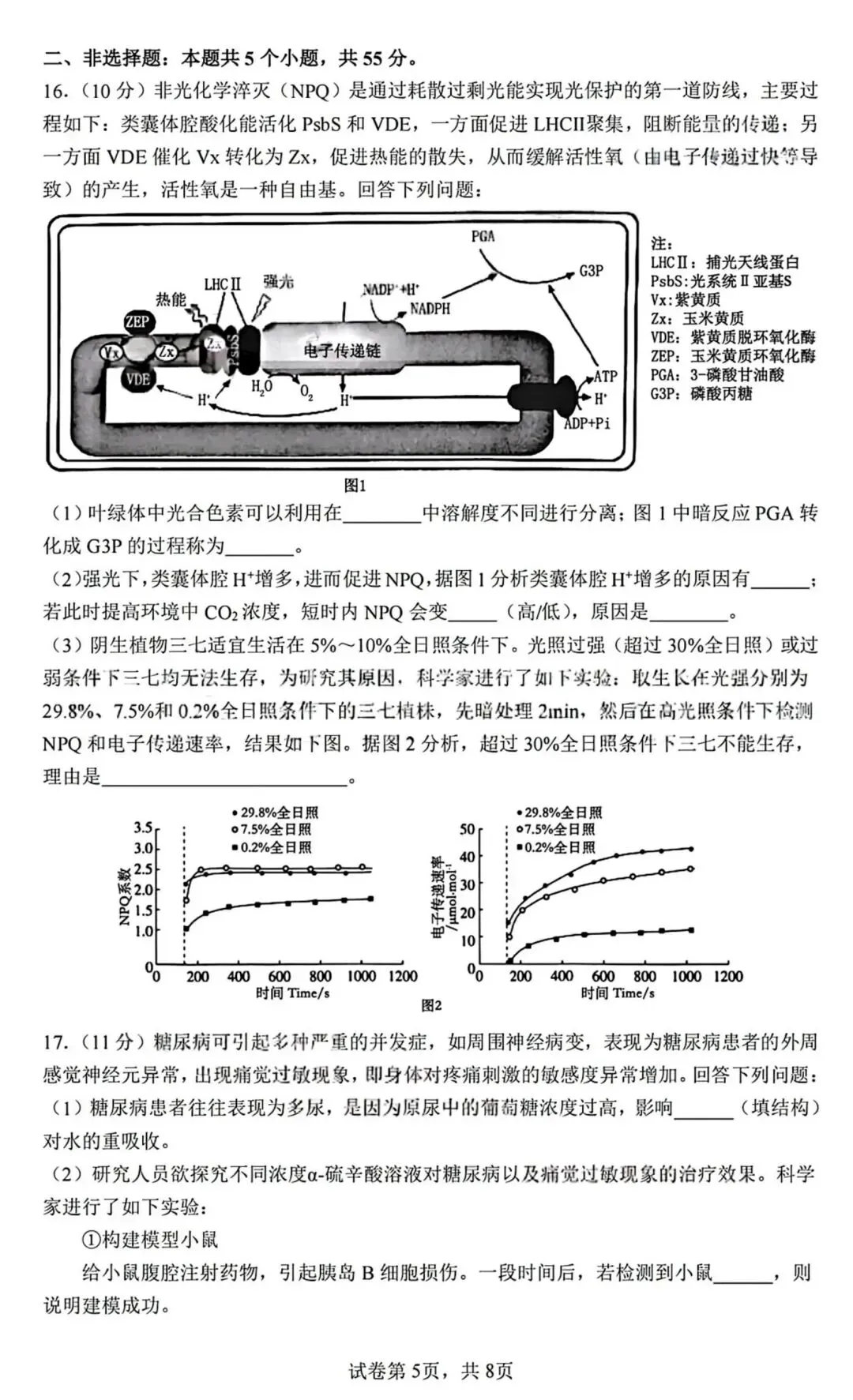 2026届成都七中高三二诊模拟考生物学试题和答案(附word下载) ⊙ 第11张