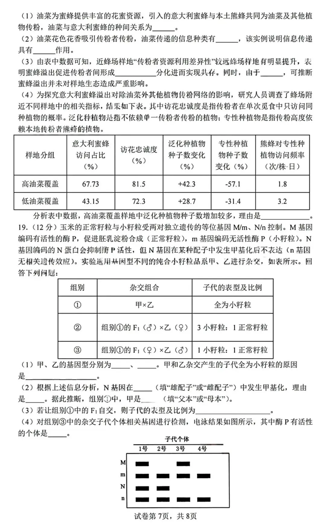 2026届成都七中高三二诊模拟考生物学试题和答案(附word下载) ⊙ 第13张
