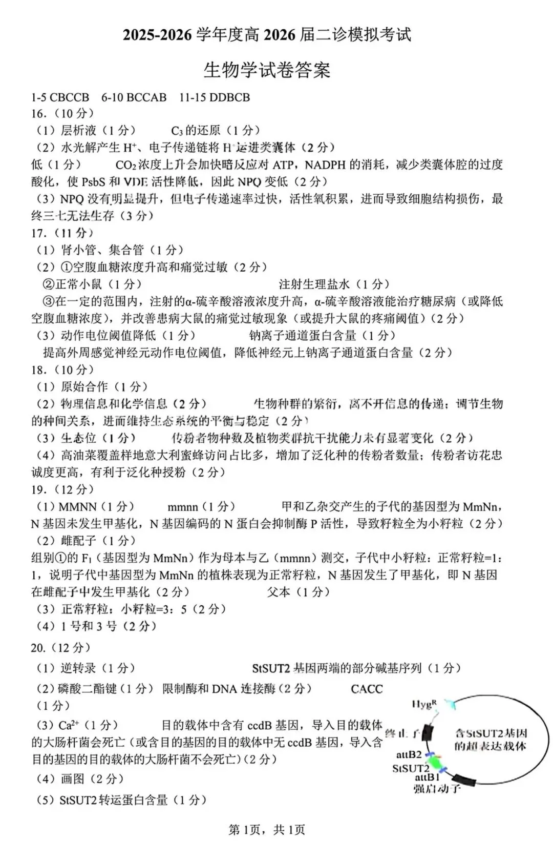 2026届成都七中高三二诊模拟考生物学试题和答案(附word下载) ⊙ 第18张