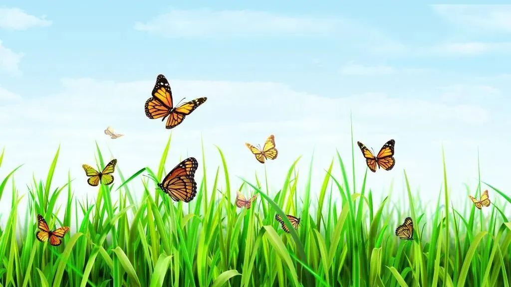 欧阳万里小同学内力驱动的中考发言,既点亮自己又照亮他人! 第6张