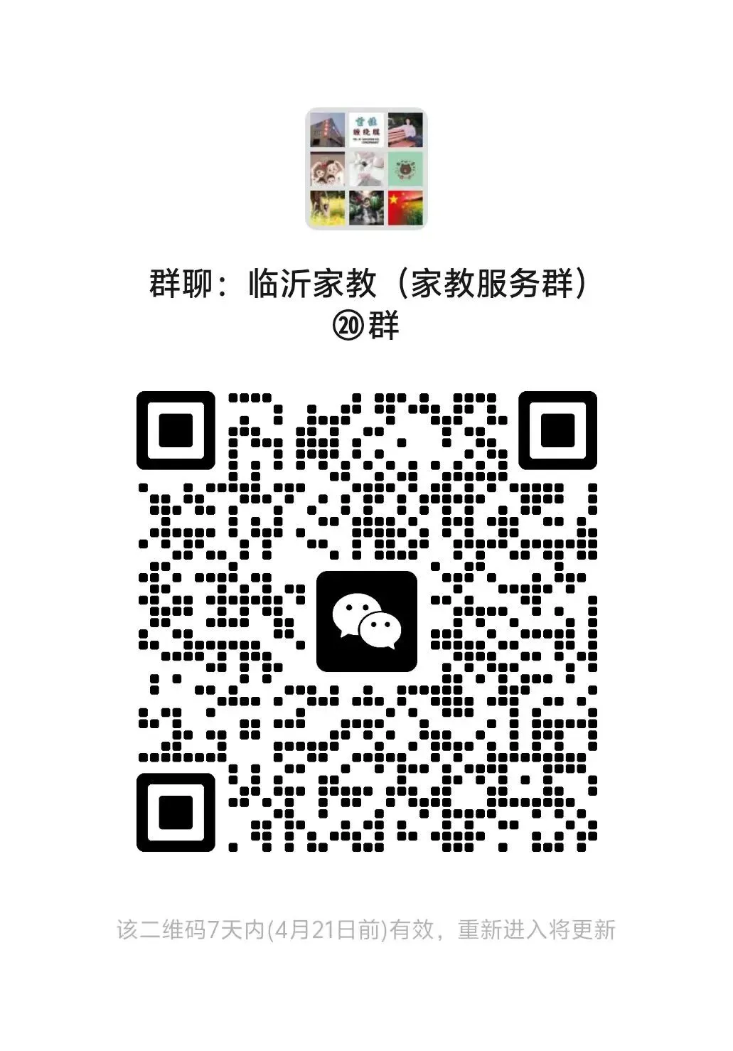 中考生物班课 第1张