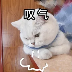 中考后转轨国际高中?这条路到底是“退路”还是“陷阱”? 第1张