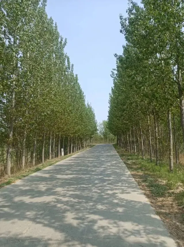 26山东真题:今天的中国,展现出一种对工作、对生活的“即时感”.你如何看待这种“即时感”,请谈谈你的理解. 第3张