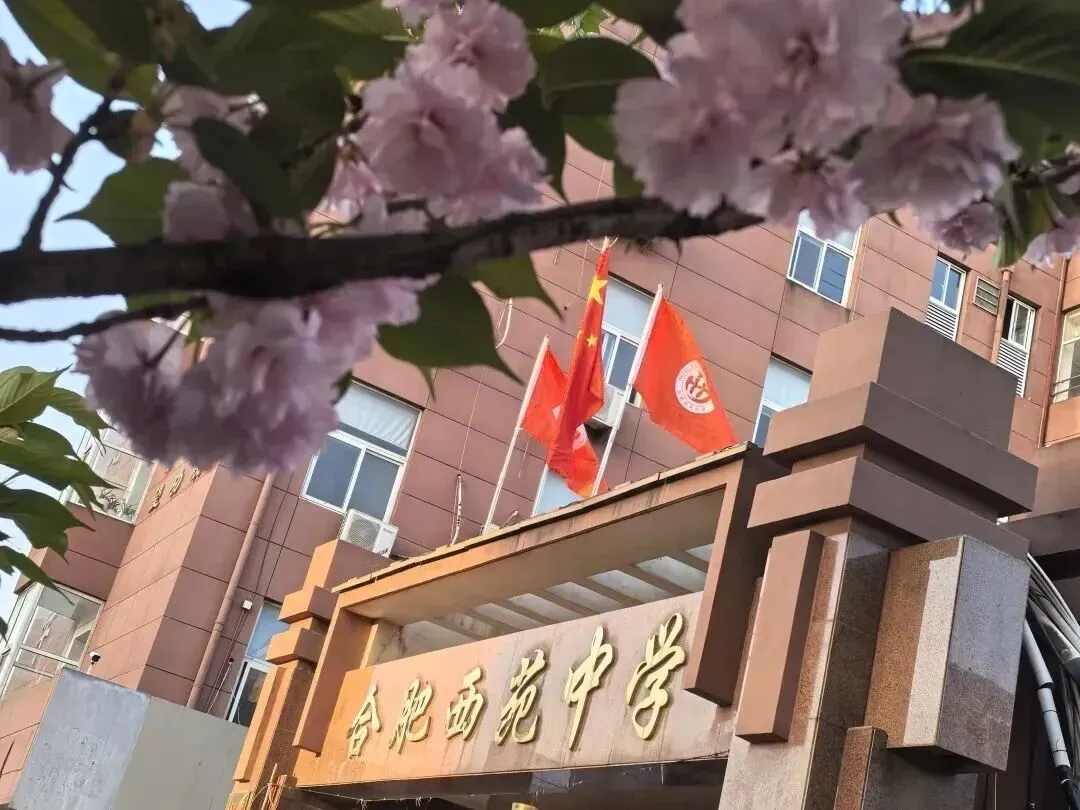 聚焦中考备考,夯实历史根基 ——合肥西苑中学九年级历史引领复习课圆满开展 第9张