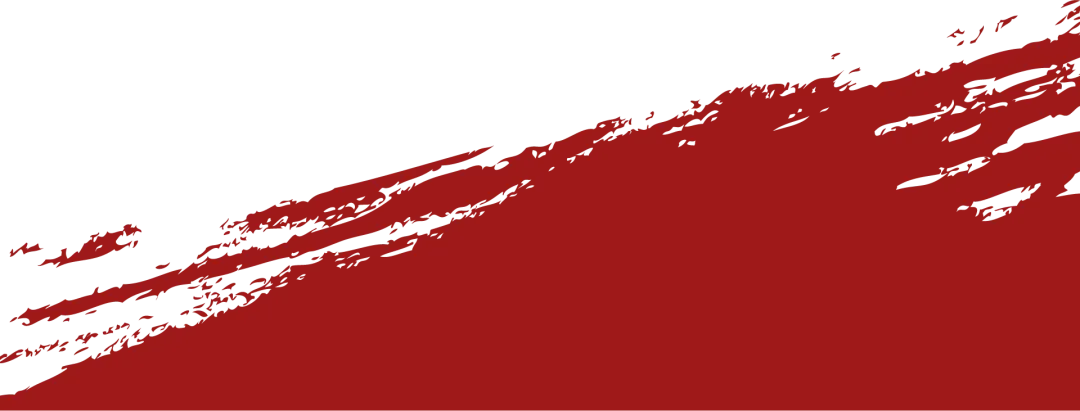 聚焦中考备考,夯实历史根基 ——合肥西苑中学九年级历史引领复习课圆满开展 第12张