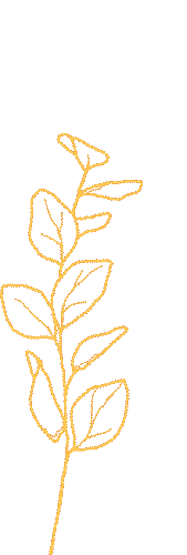 聚焦中考探良策 校际携手话高效——南宁市第二十六中学骨干教师交流团来桂林中学研修交流 第4张