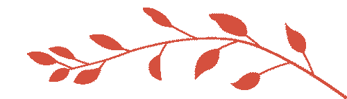 聚焦中考探良策 校际携手话高效——南宁市第二十六中学骨干教师交流团来桂林中学研修交流 第5张