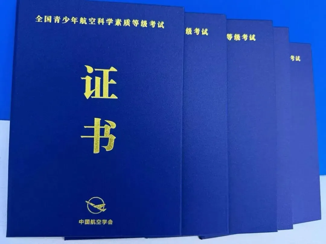 中国航空学会模拟飞行等级考试,家长与机构必看指南  第3张