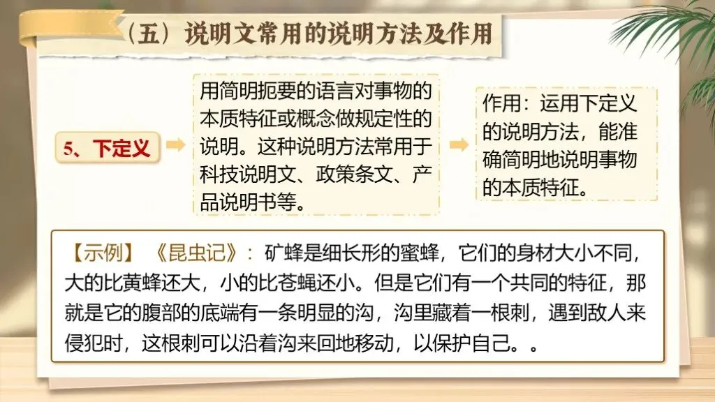 【中考语文】专题复习《专题十七:说明文相关知识梳理》 | 说明文专项突破! 第17张