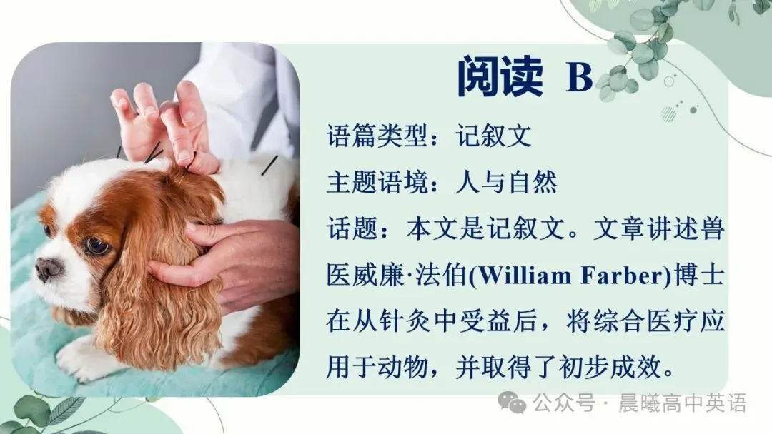 【高考真题系列】2024全国1卷英语讲评课件(阅读—语法) 第8张