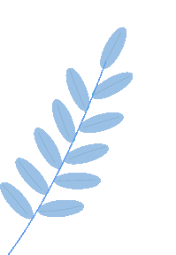 【真题速递】第四届学科能力评估活动 小学组精品好题 + 讲解视频,建议收藏练习! 第10张