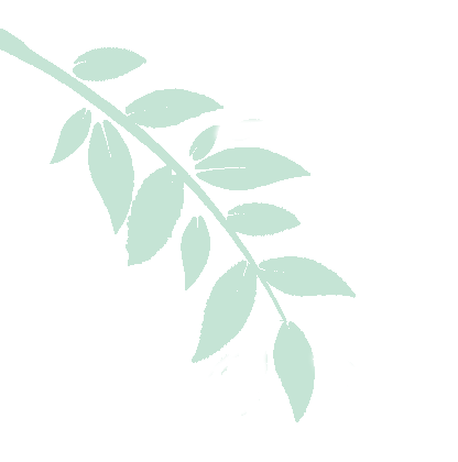 研听说备考术,筑中考英语梦——清城区初中英语中考听说备考研讨会圆满落幕 第3张