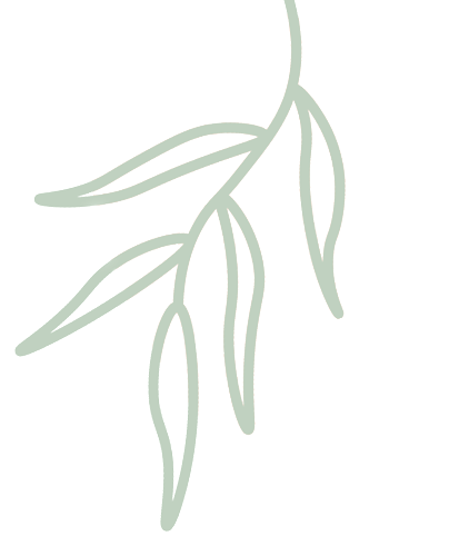 研听说备考术,筑中考英语梦——清城区初中英语中考听说备考研讨会圆满落幕 第7张