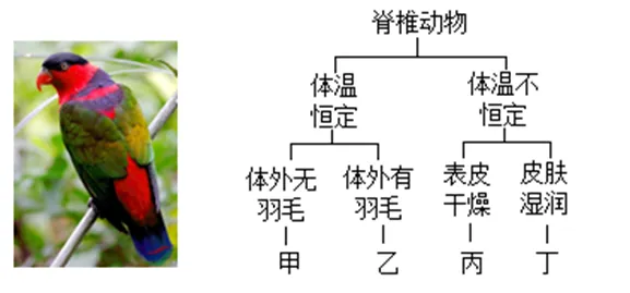 浙江中考科学2022——2024真题分类解析(三) 第1张