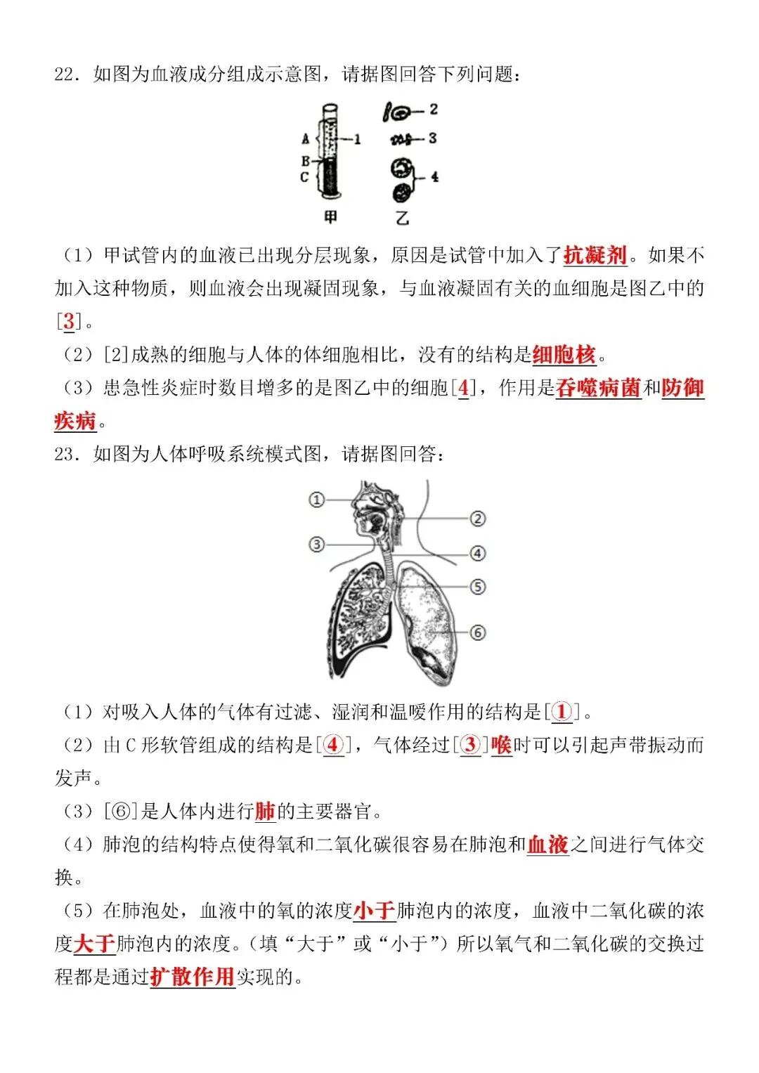 2026七下生物(人教版)期中考试押题试卷(含答案),家长速打印给孩子练习! 第7张