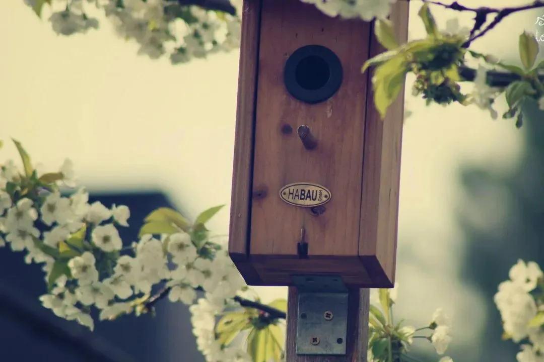 必看《为什么我的高考试卷总是白纸啊?》欣欣李教授丨TXT免费-大结局閲读 第8张