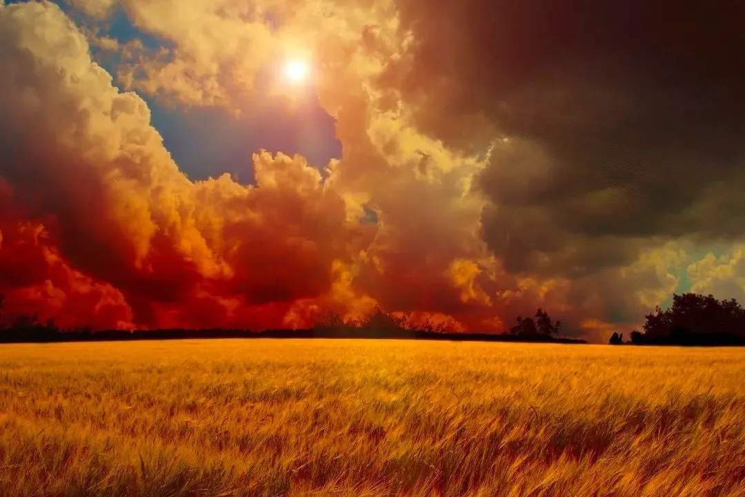 必看《为什么我的高考试卷总是白纸啊?》欣欣李教授丨TXT免费-大结局閲读 第9张