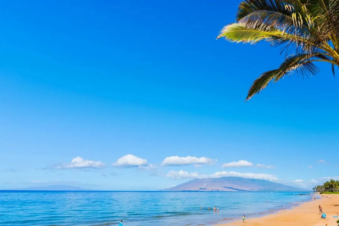 必看《为什么我的高考试卷总是白纸啊?》欣欣李教授丨TXT免费-大结局閲读 第10张