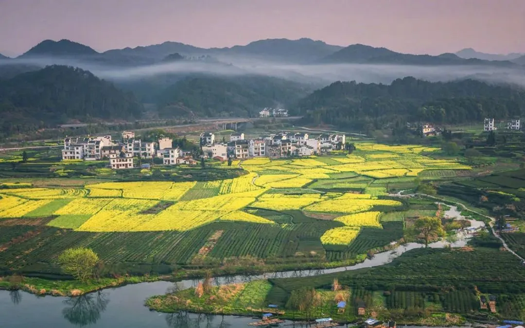 必看《为什么我的高考试卷总是白纸啊?》欣欣李教授丨TXT免费-大结局閲读 第11张