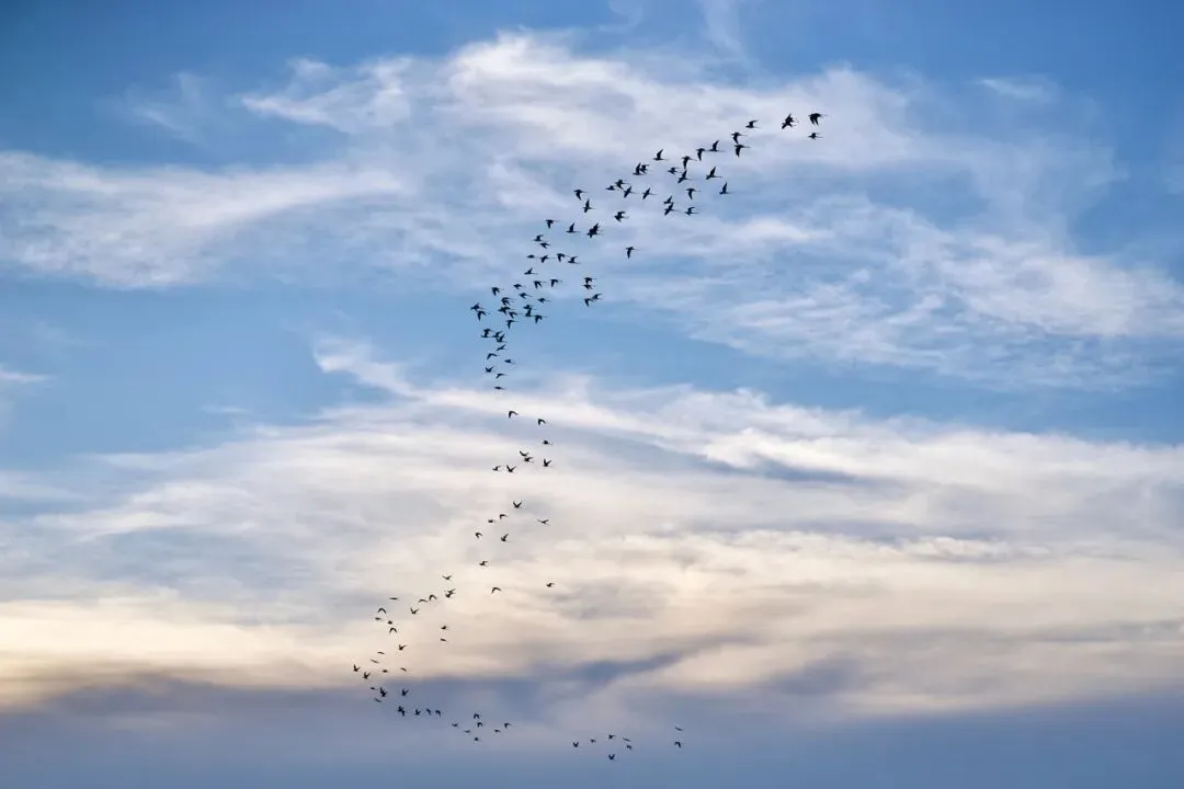 中沩教育-面试真题解读篇 第8张