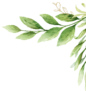 【立德树人 五育并举】凝心聚力研中考 深耕细作促提升 第5张