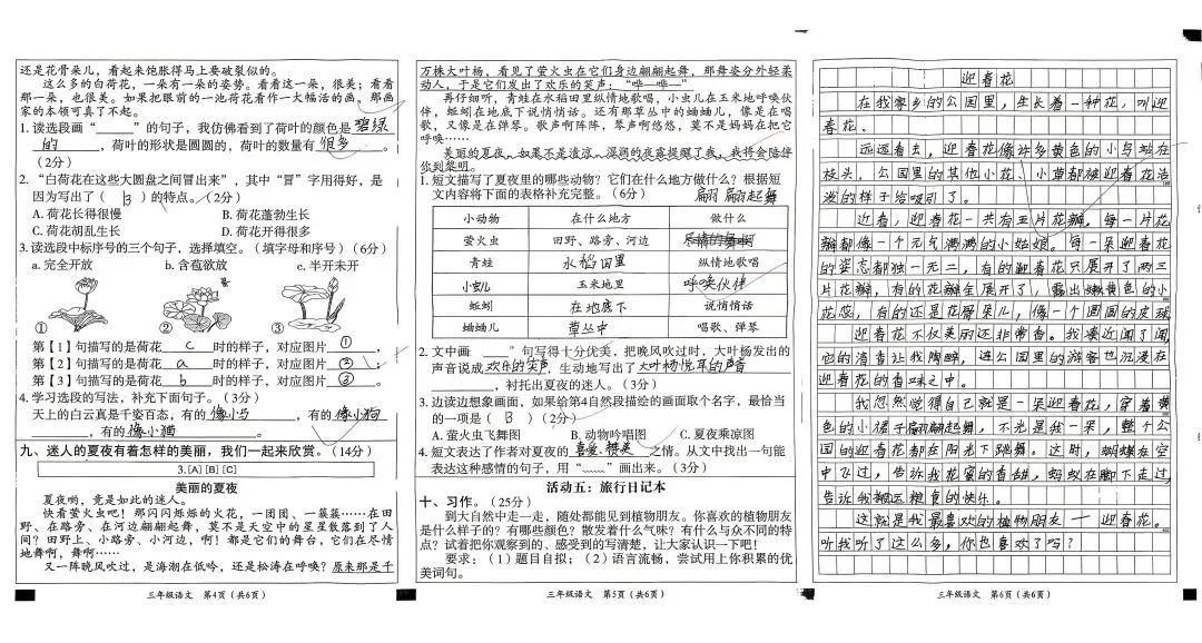 三下语文第一二单元试卷 第2张