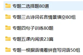 26春五年级下册语文《期中真题五大专题训练》含答案 期中考前必刷五大项 第2张