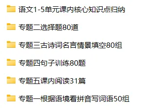 26春六年级下册语文《期中真题六大专题训练》含答案 期中考前必刷六大项 第2张
